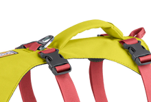 Load image into Gallery viewer, Flagline Dog Harness
