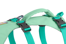 Load image into Gallery viewer, Flagline Dog Harness
