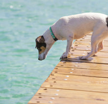 Load image into Gallery viewer, Lake Time Dog Collars
