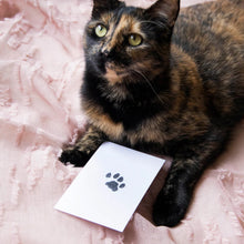 Load image into Gallery viewer, Clean-Touch Print Pad
