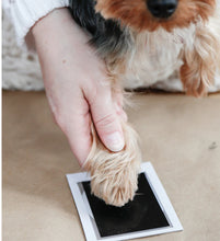 Load image into Gallery viewer, Clean-Touch Print Pad
