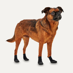 Gooeez Dog Boots