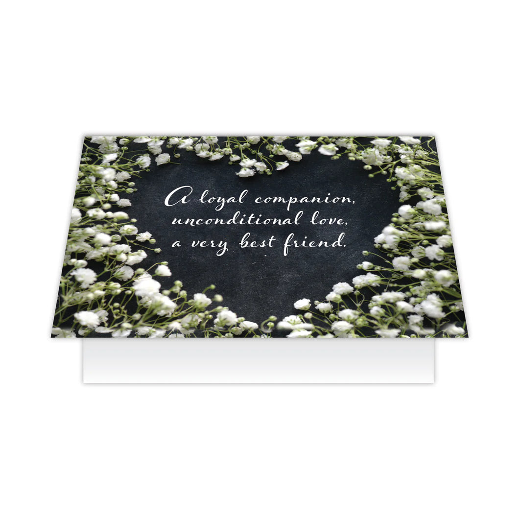 A loyal companion Card