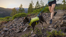 Load image into Gallery viewer, Trail Runner Leash
