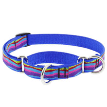 Load image into Gallery viewer, Lupine Martingale Collar 3/4in
