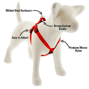 Lupine Basics 1” Step in Harness
