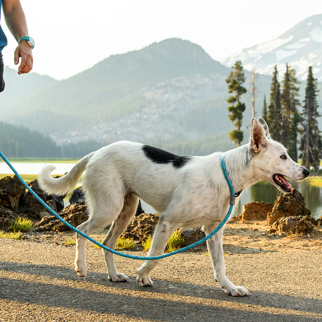 Ruffwear just deals a cinch leash