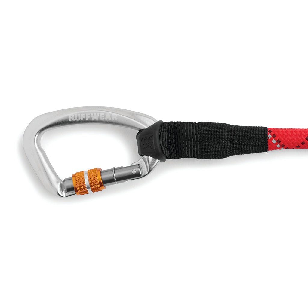 Just a clearance cinch dog leash