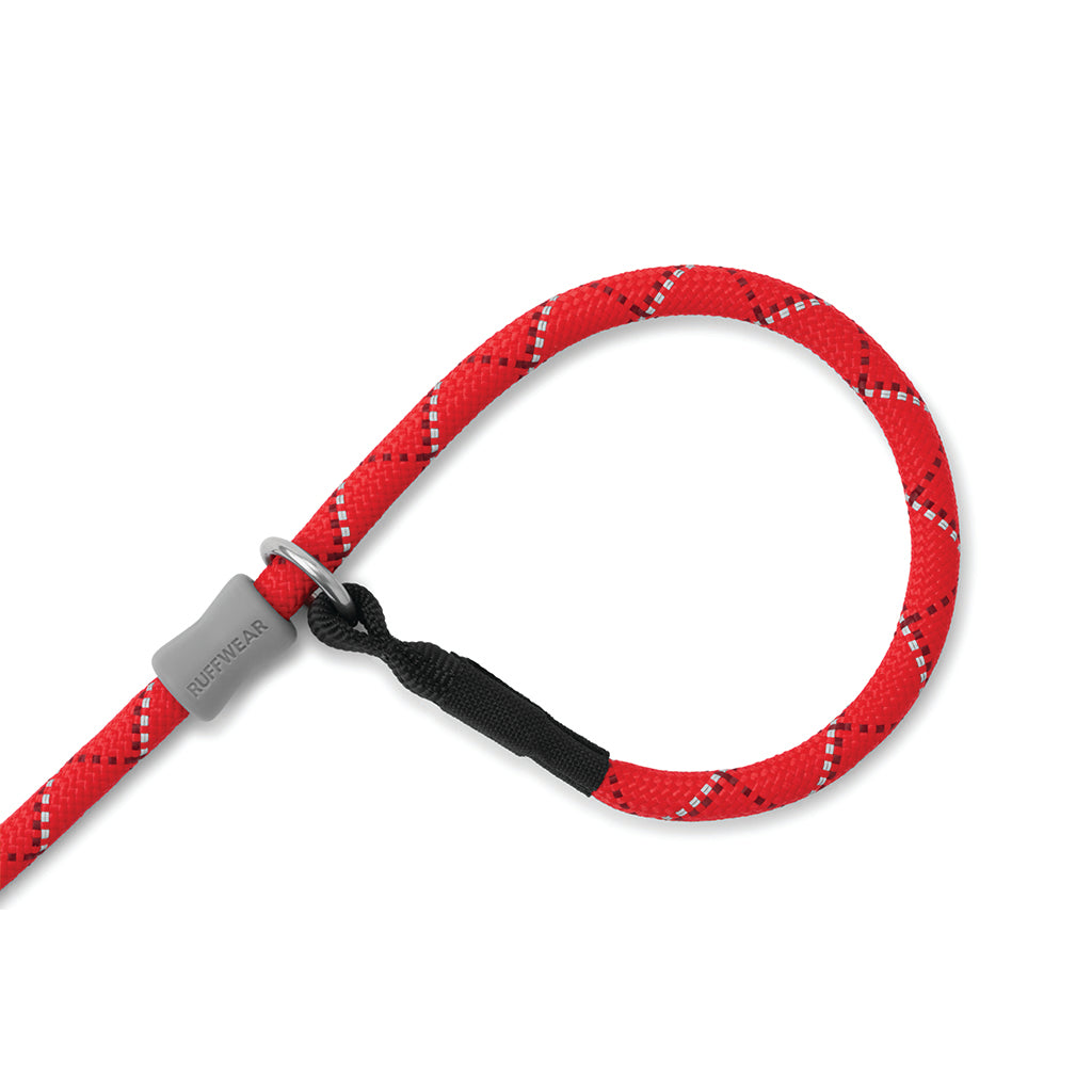 Just a 2024 cinch dog leash