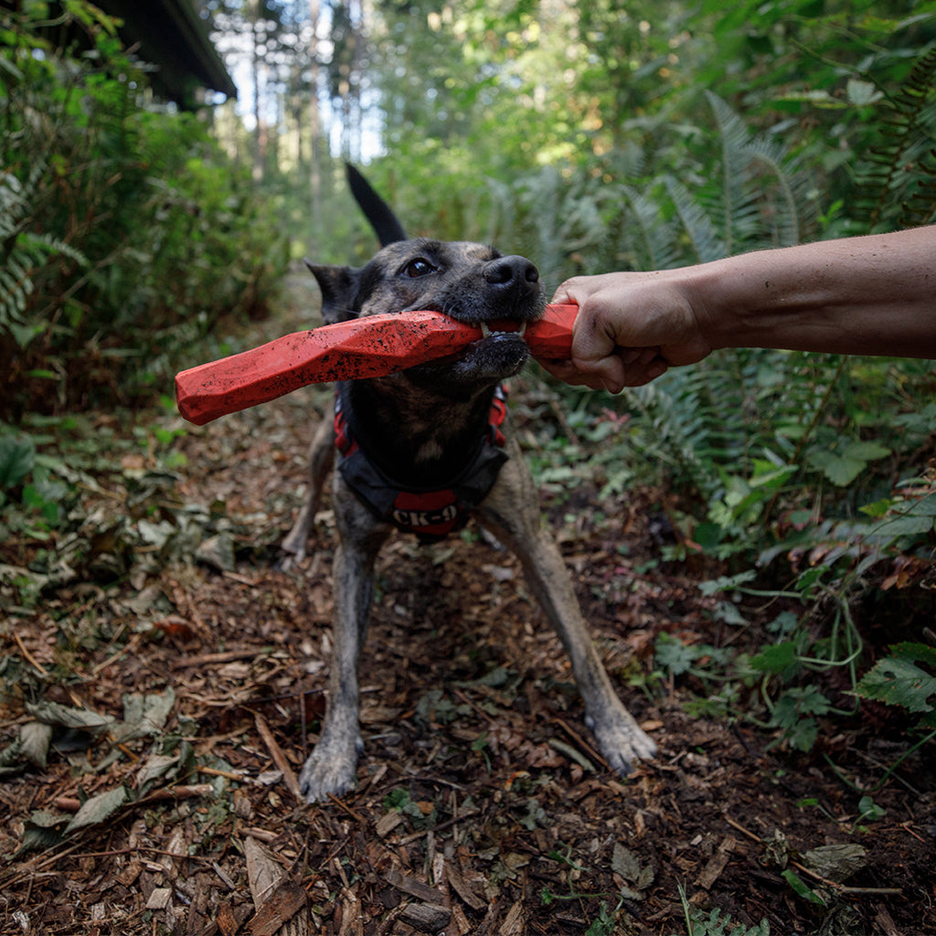 Gnawt a Stick Toy Ruffwear River Dog Bakery