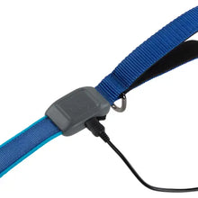 Load image into Gallery viewer, NiteDog Rechargeable Led Leash
