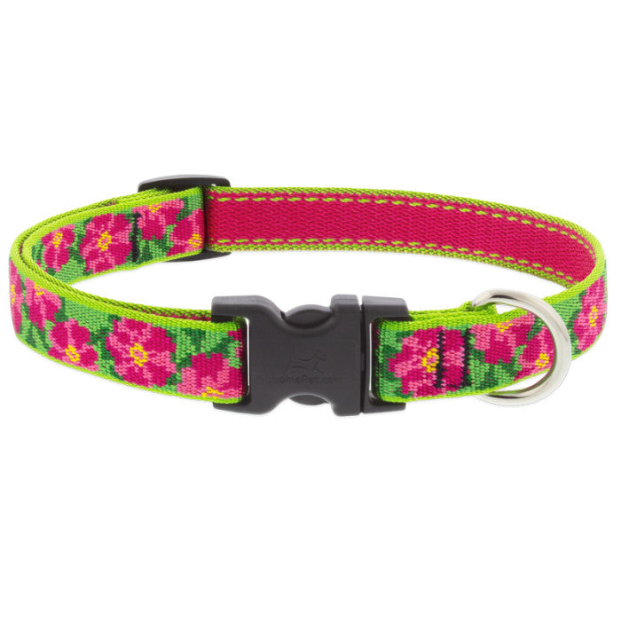 Lupine 3/4” Wide Collars