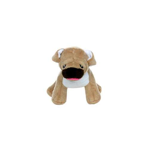 Mighty Pug