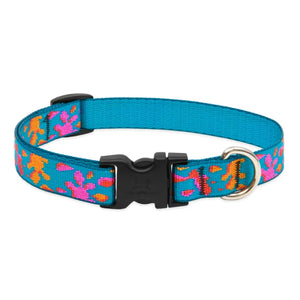 Lupine 3/4” Wide Collars
