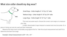 Load image into Gallery viewer, Lupine 1” Wide Dog Collars
