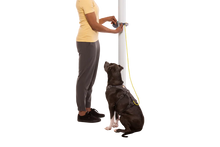 Load image into Gallery viewer, Hitch Hiker Leash &amp; Hitch
