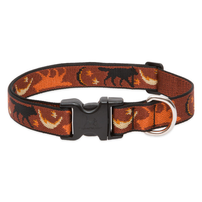 Wide dog collars sale