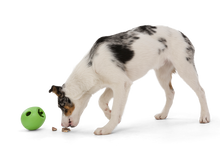 Load image into Gallery viewer, West Paw Rumbl
