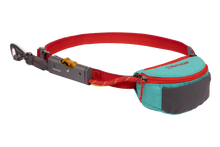 Load image into Gallery viewer, Hitch Hiker Leash &amp; Hitch
