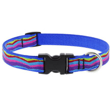 Load image into Gallery viewer, Lupine 3/4” Wide Collars
