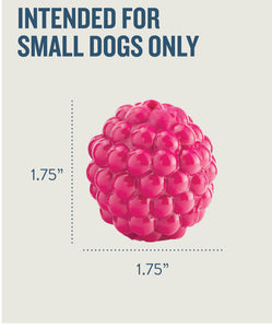 Orbee-Tuff Raspberry