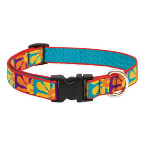 Lupine 3/4” Wide Collars
